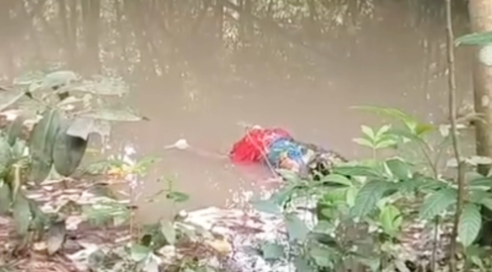 নাদিয়ার লাশ উদ্ধার, হত্যার তদন্ত চলছে, পুলিশ অভিযান চালাচ্ছে